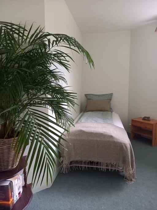 Apartament Þorsmoerk Farm 12 Min From Akureyri Svalbarthseyri Zewnętrze zdjęcie