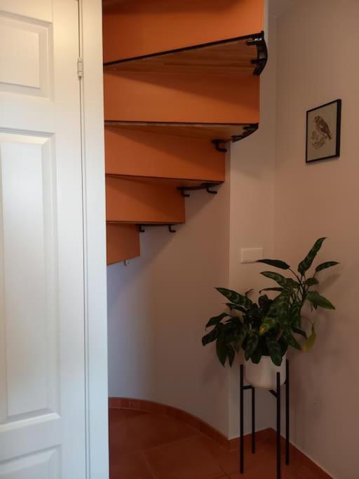 Apartament Þorsmoerk Farm 12 Min From Akureyri Svalbarthseyri Zewnętrze zdjęcie
