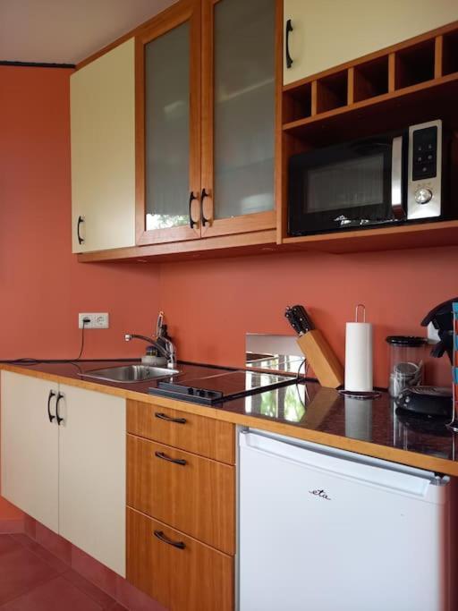 Apartament Þorsmoerk Farm 12 Min From Akureyri Svalbarthseyri Zewnętrze zdjęcie