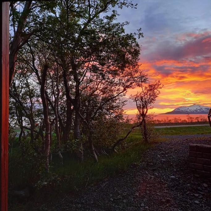 Apartament Þorsmoerk Farm 12 Min From Akureyri Svalbarthseyri Zewnętrze zdjęcie