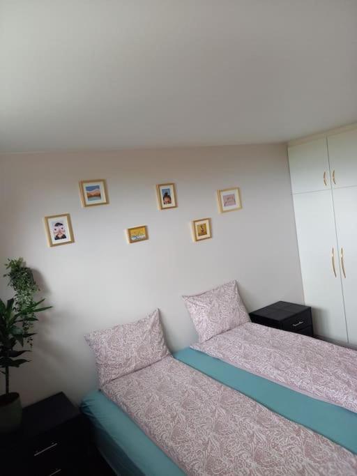 Apartament Þorsmoerk Farm 12 Min From Akureyri Svalbarthseyri Zewnętrze zdjęcie