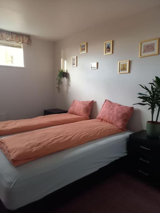 Apartament Þorsmoerk Farm 12 Min From Akureyri Svalbarthseyri Zewnętrze zdjęcie